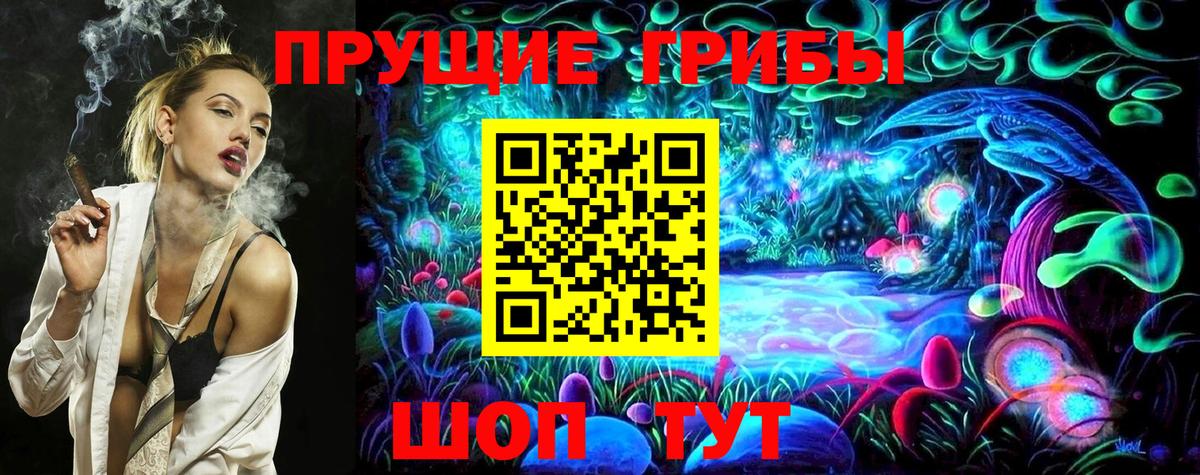 Дзержинск  где купить наркоту  Вход с VPN  Псилоцибиновые грибы GOLDEN TEACHER  Галлюциногенные грибы Psilocybine cubensis 