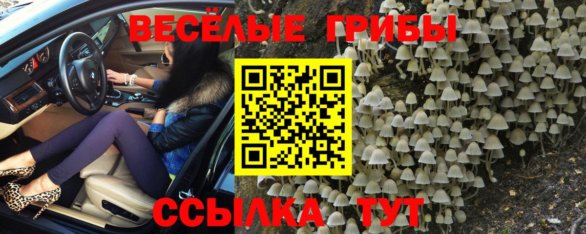 Галлюциногенные грибы Psilocybine cubensis Дзержинск